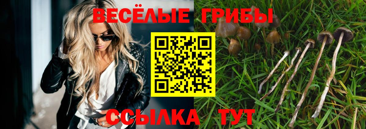 Галлюциногенные грибы Psilocybine cubensis Алексин